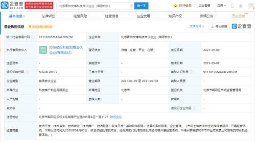 計算機軟件技術(shù)服務(wù) 驅(qū)動數(shù)字化轉(zhuǎn)型的核心力量